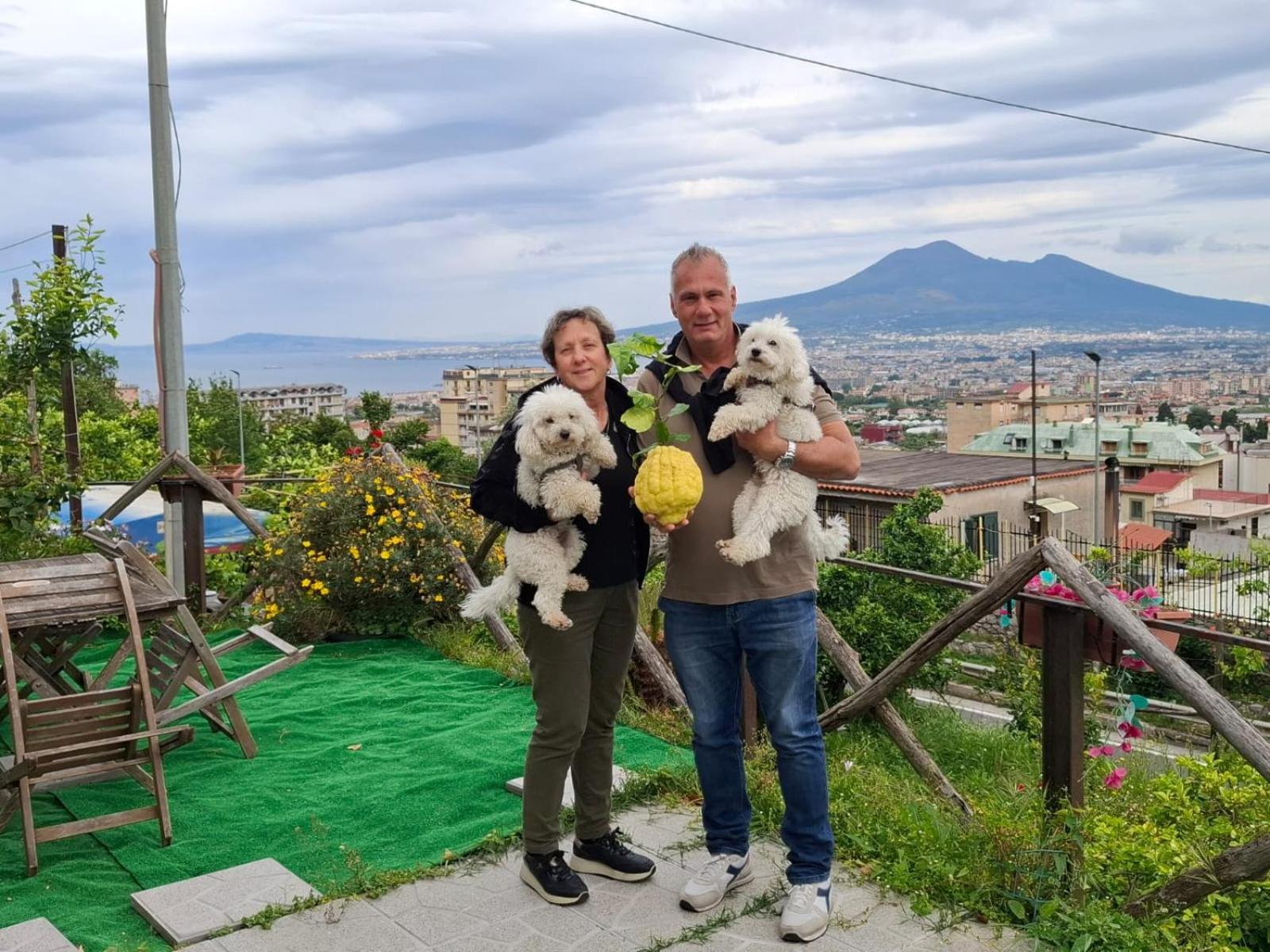 B&B Il Limoneto Gragnano Exterior photo